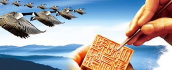 集團產(chǎn)業(yè)